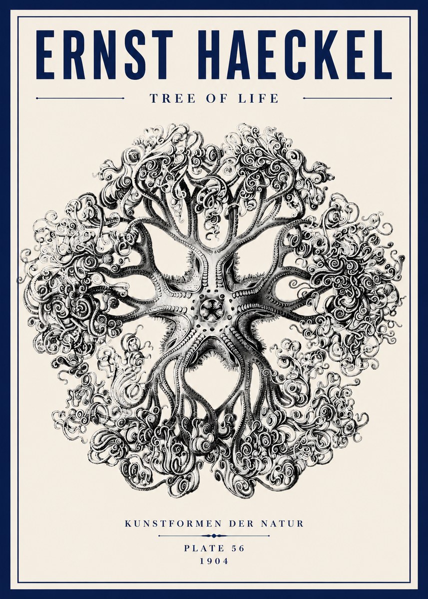 Ernst Haeckel Tree-like Organism No6 - Plakát