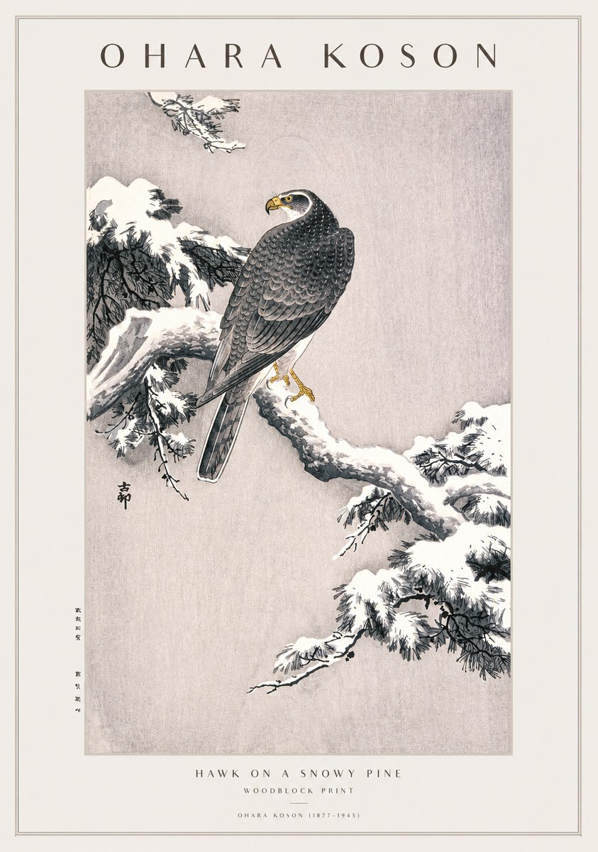 Ohara Koson Hawk on a Snowy Pine No1 - Plakát