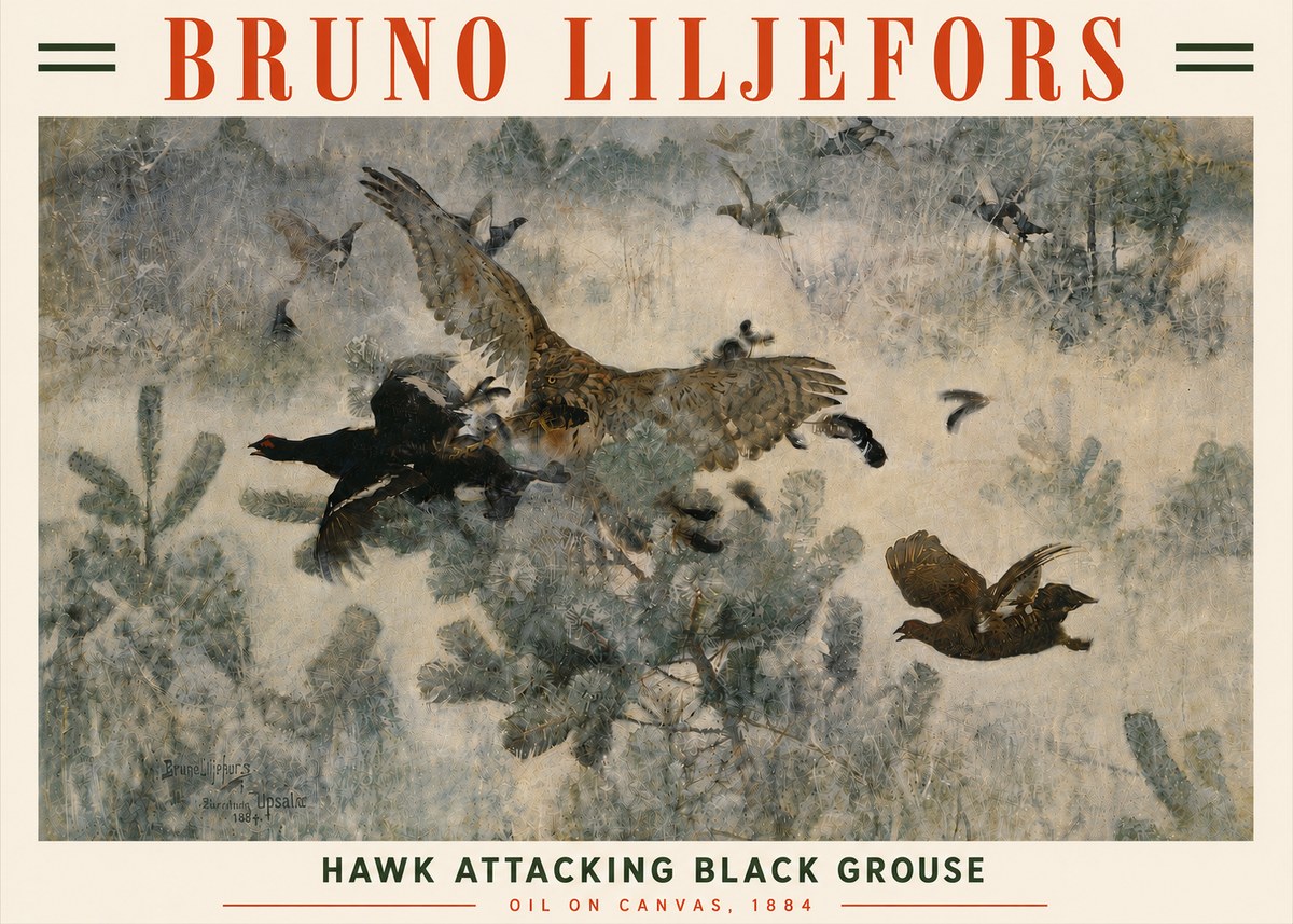 Bruno Liljefors Hawk Attacking Black Grouse No6 - Plakát