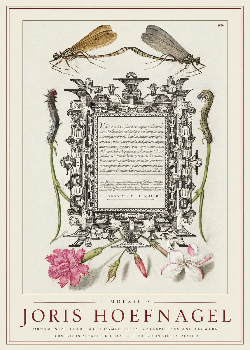 Joris Hoefnagel Ornamental Frame with Damselflies, Caterpillars and Flowers No1 - Plakát