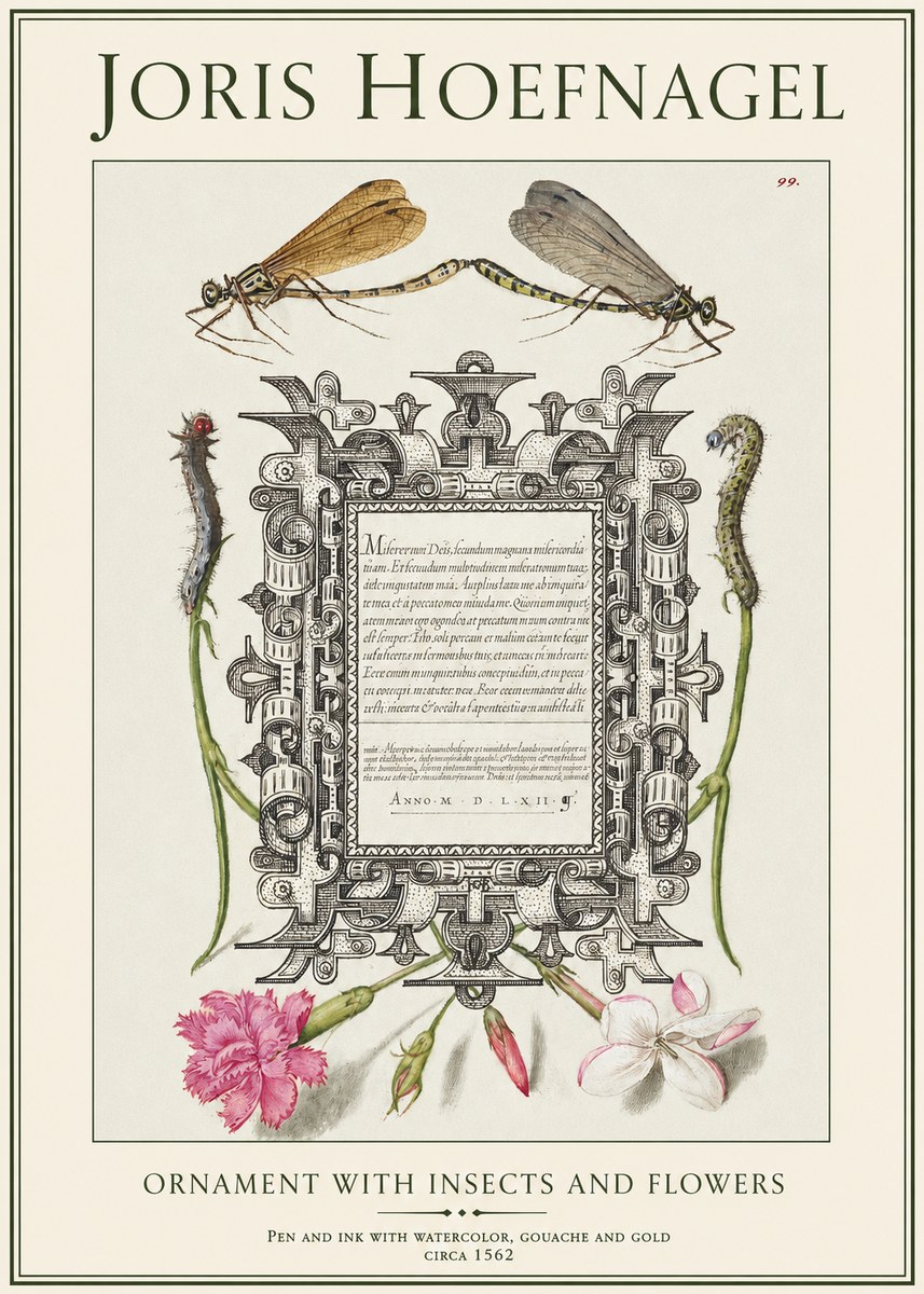 Joris Hoefnagel Ornamental Frame with Damselflies, Caterpillars and Flowers No2 - Plakát