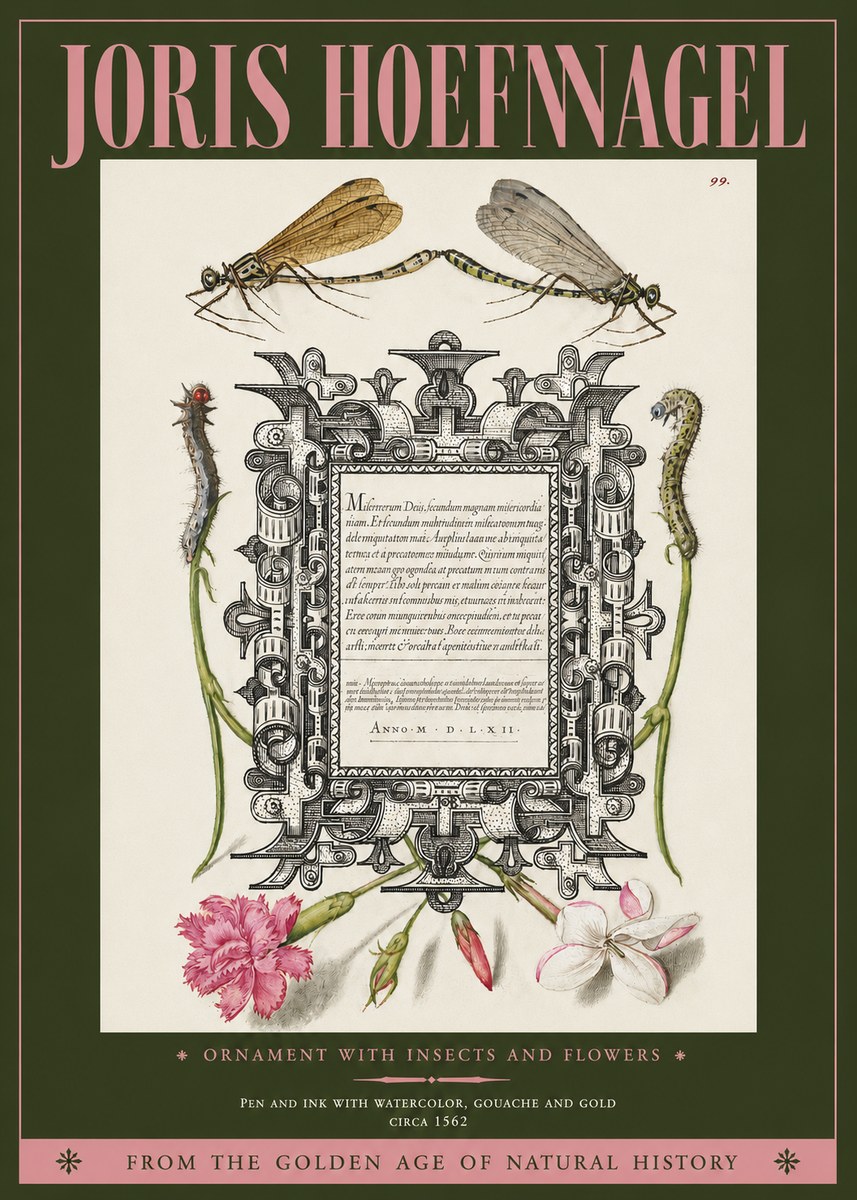 Joris Hoefnagel Ornamental Frame with Damselflies, Caterpillars and Flowers No4 - Plakát