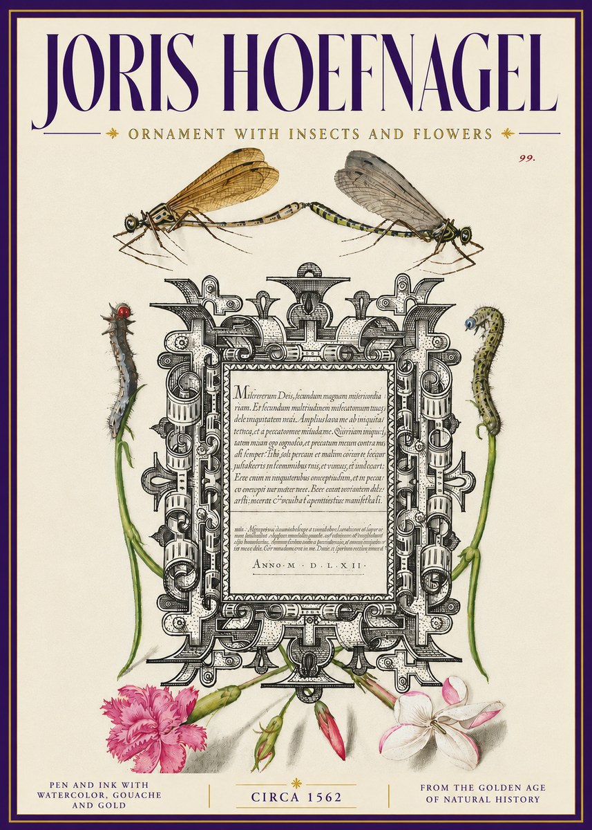 Joris Hoefnagel Ornamental Frame with Damselflies, Caterpillars and Flowers No6 - Plakát