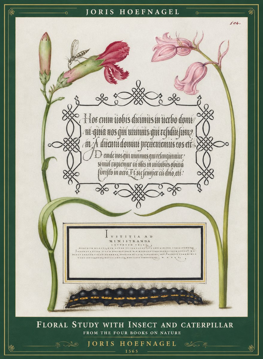 Joris Hoefnagel Floral Study with Insect and Caterpillar No1 - Plakát
