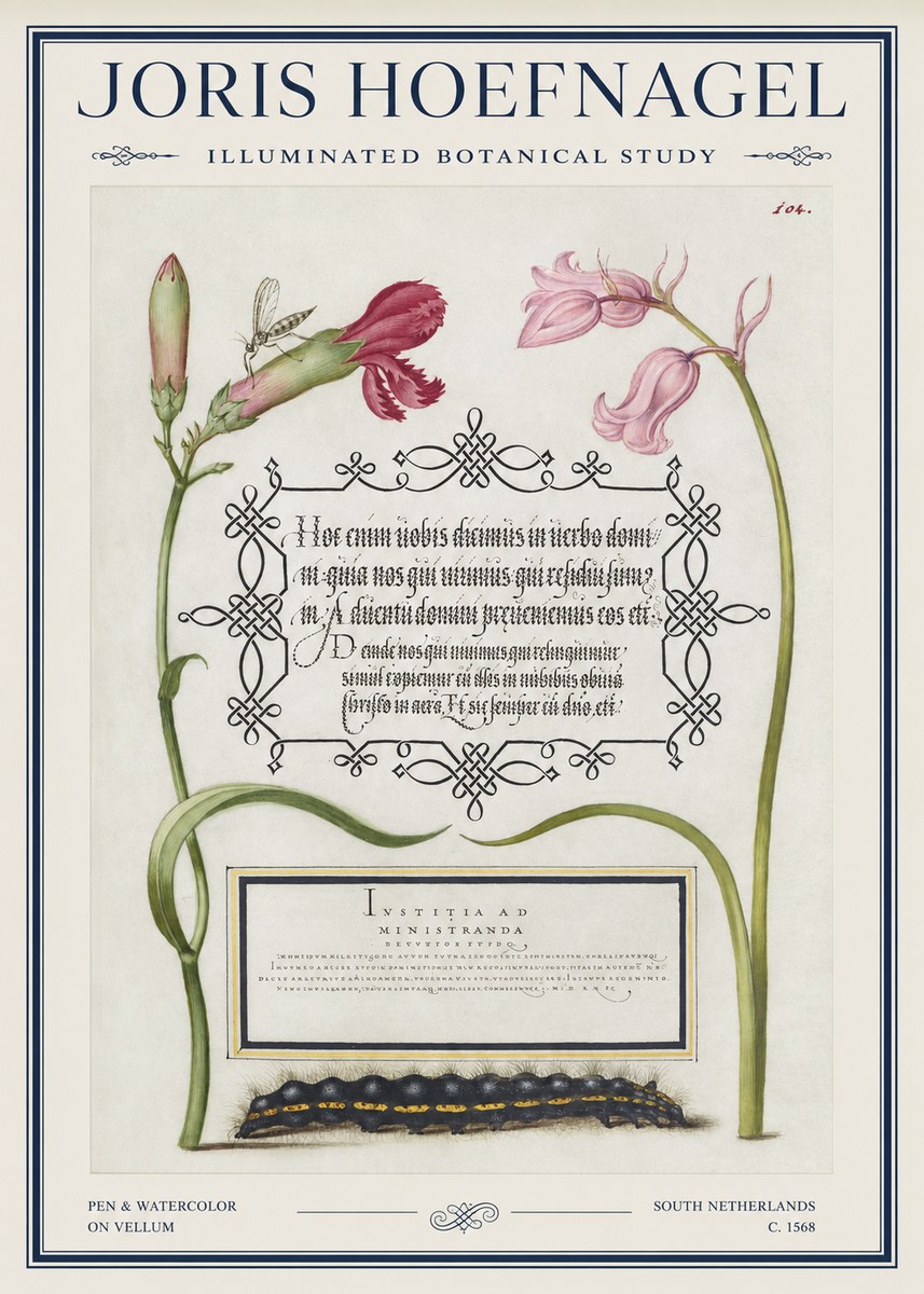 Joris Hoefnagel Floral Study with Insect and Caterpillar No5 - Plakát