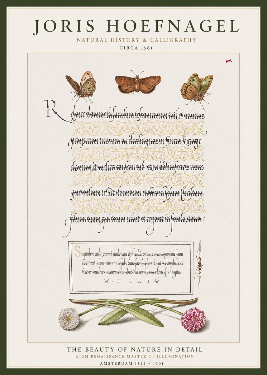 Joris Hoefnagel Butterflies, Flowers and Calligraphy Page No1 - Plakát