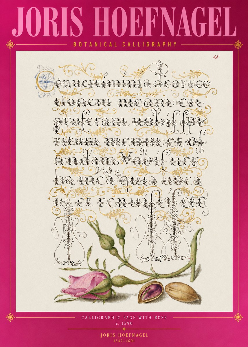 Joris Hoefnagel Calligraphic Page with Rose No2 - Plakát