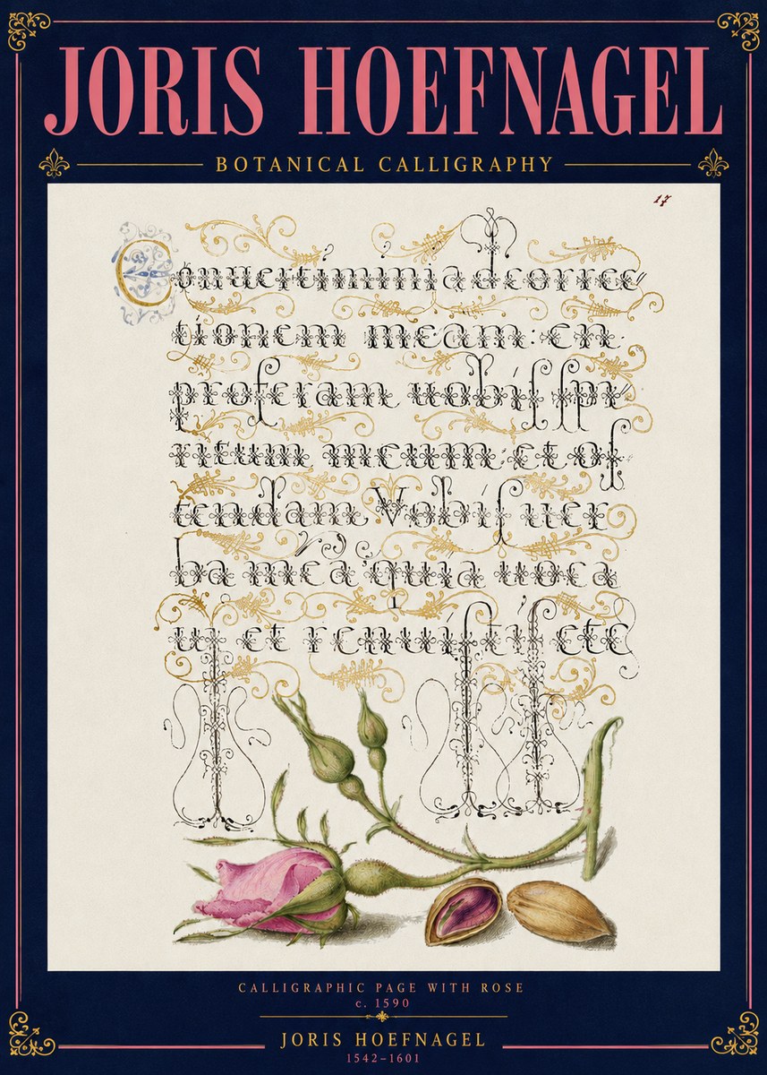 Joris Hoefnagel Calligraphic Page with Rose No4 - Plakát