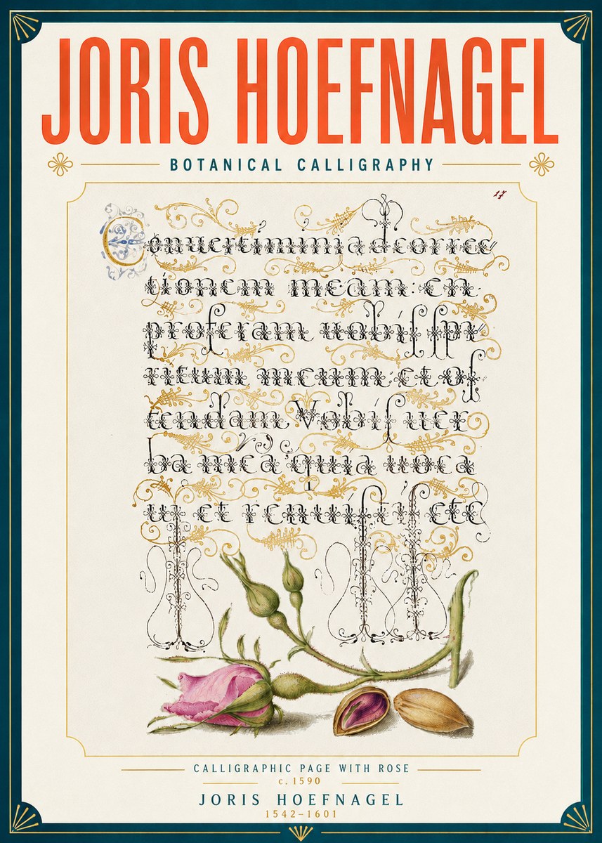 Joris Hoefnagel Calligraphic Page with Rose No6 - Plakát