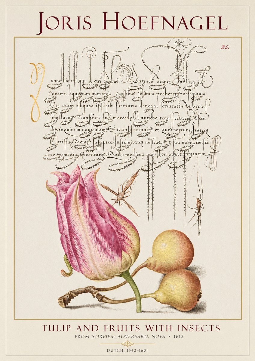 Joris Hoefnagel Tulip and Fruits with Insects No1 - Plakát