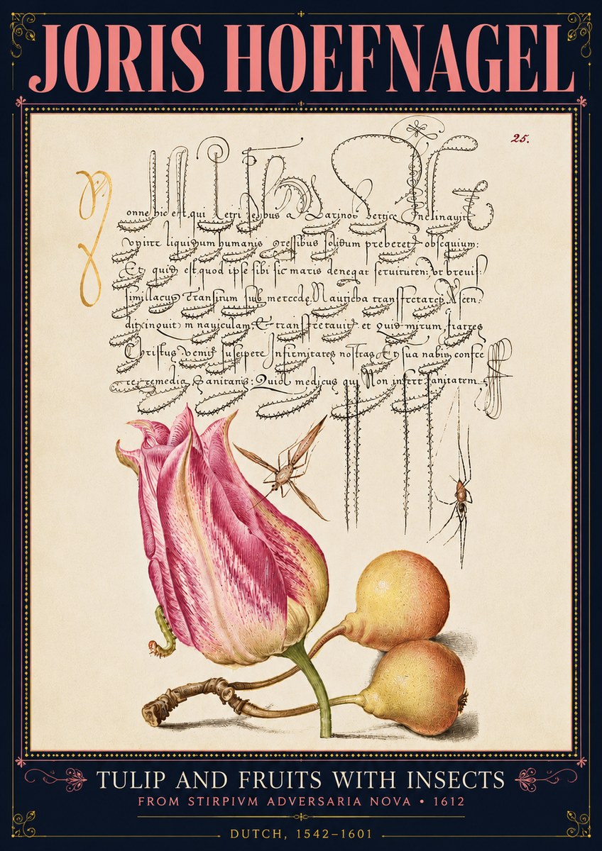 Joris Hoefnagel Tulip and Fruits with Insects No4 - Plakát