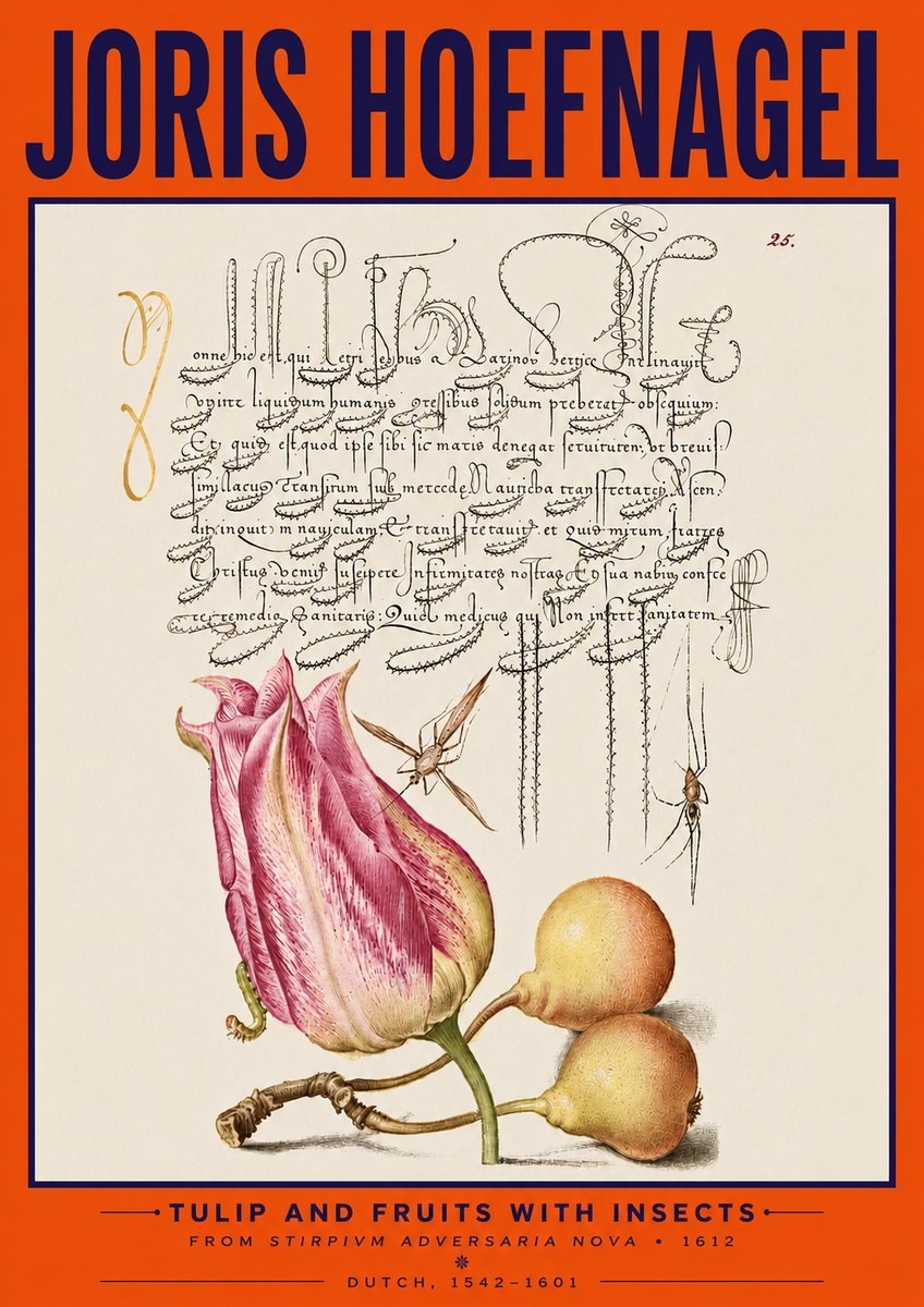 Joris Hoefnagel Tulip and Fruits with Insects No5 - Plakát