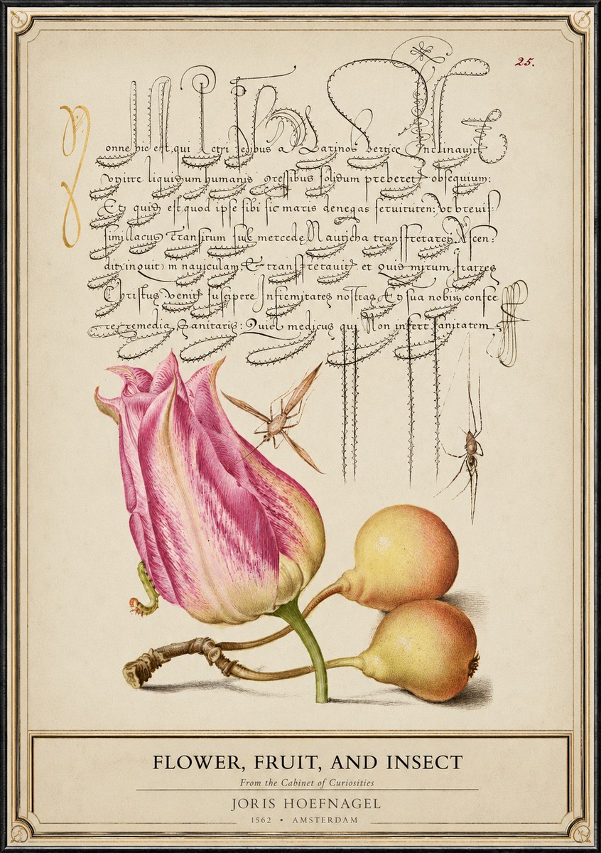 Joris Hoefnagel Tulip and Fruits with Insects No6 - Plakát