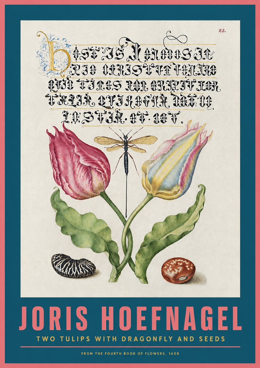 Joris Hoefnagel Two Tulips with Dragonfly and Seeds No2 - Plakát