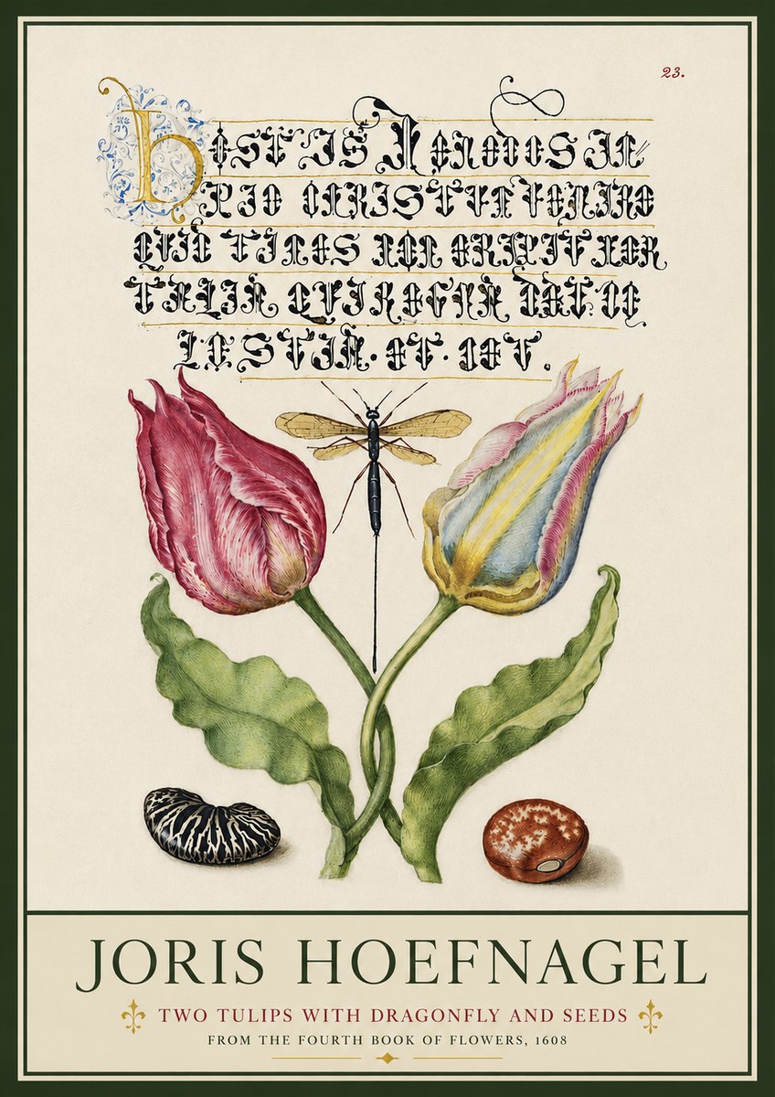 Joris Hoefnagel Two Tulips with Dragonfly and Seeds No3 - Plakát