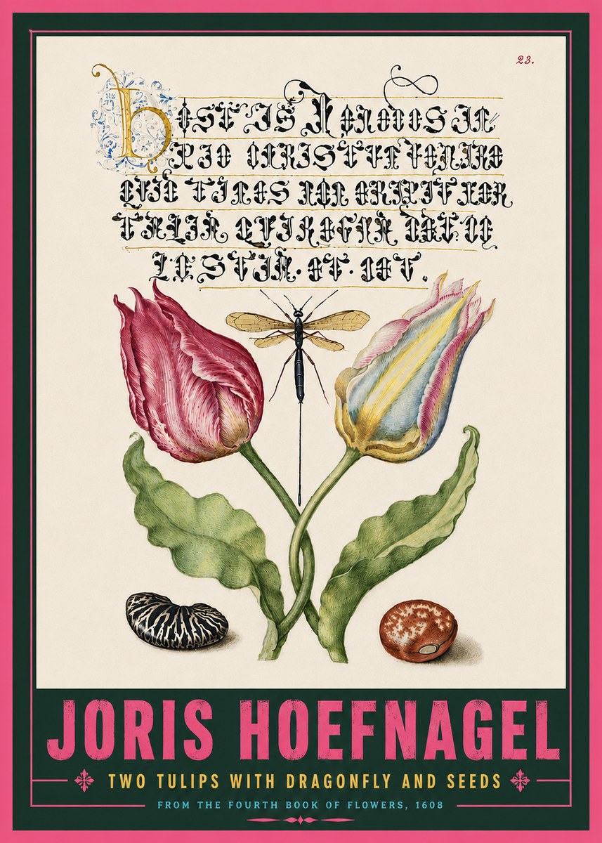 Joris Hoefnagel Two Tulips with Dragonfly and Seeds No5 - Plakát