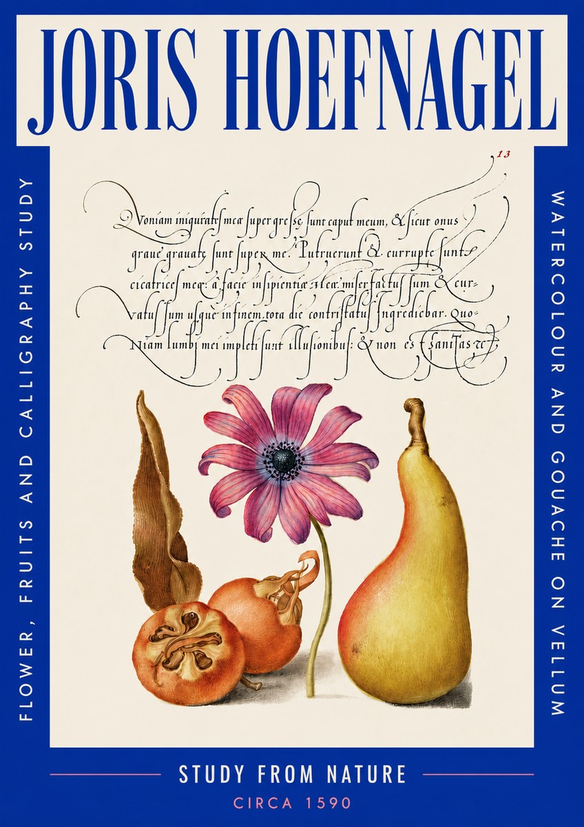 Joris Hoefnagel Study of Flower and Fruits No5 - Plakát
