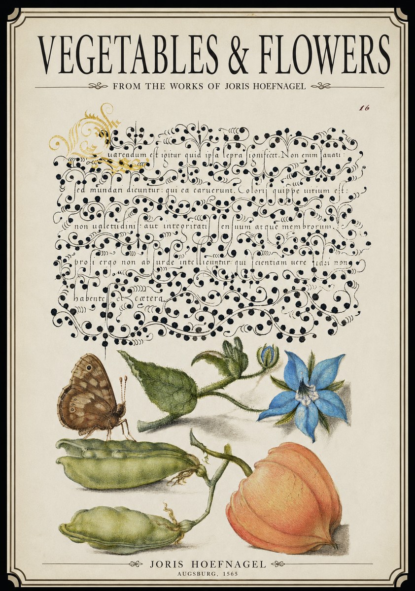 Joris Hoefnagel Study of Plants and Butterfly No3 - Plakát