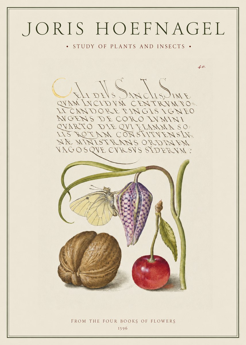 Joris Hoefnagel Study of Plants and Insects No1 - Plakát