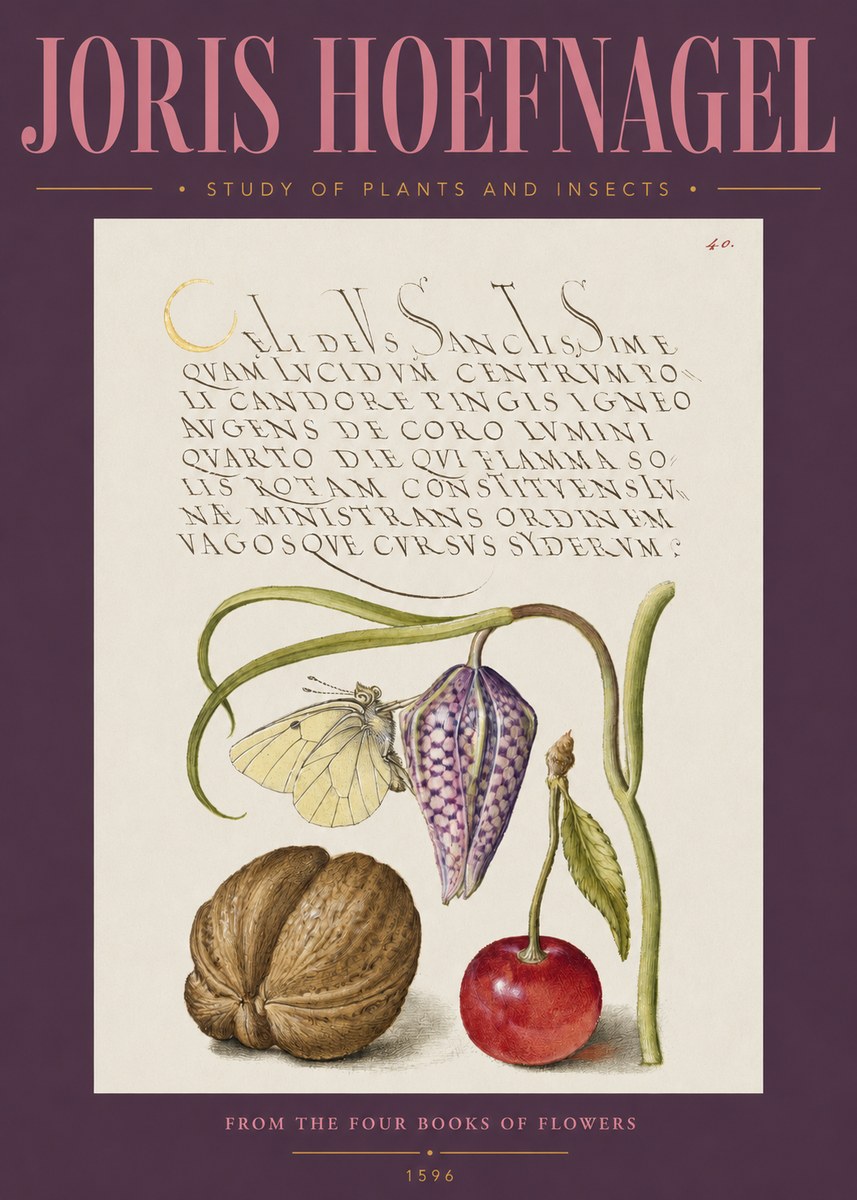 Joris Hoefnagel Study of Plants and Insects No2 - Plakát