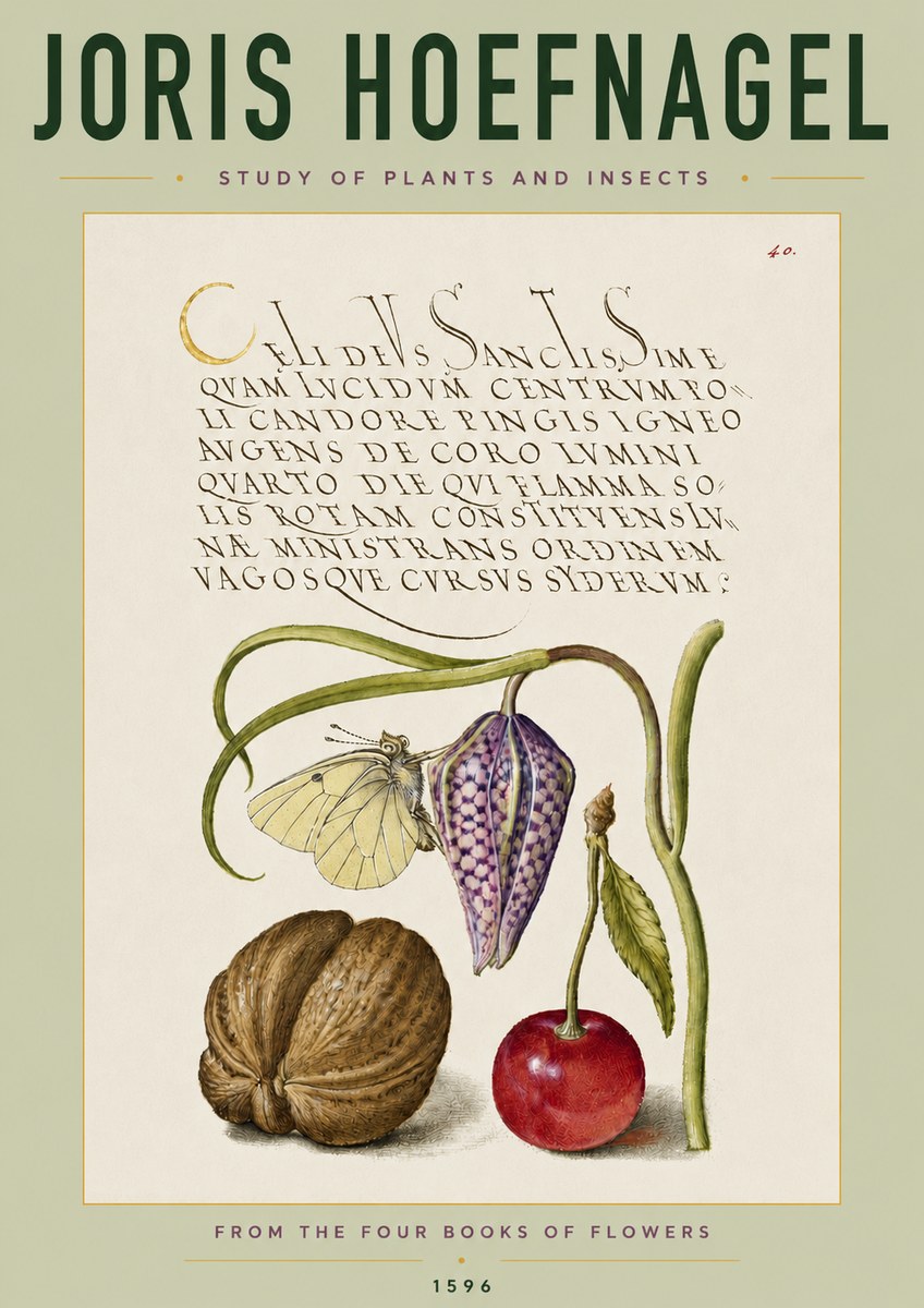 Joris Hoefnagel Study of Plants and Insects No4 - Plakát