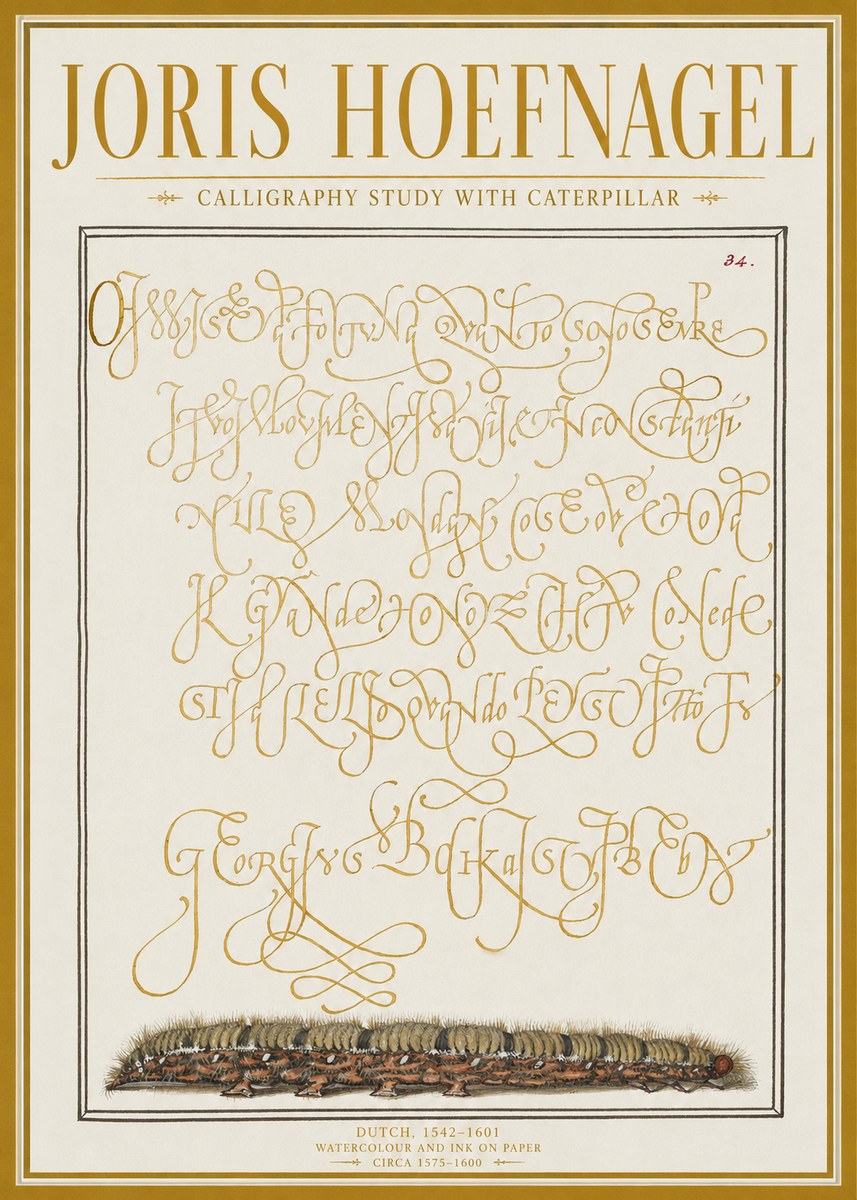 Joris Hoefnagel Calligraphy Study with Caterpillar No1 - Plakát