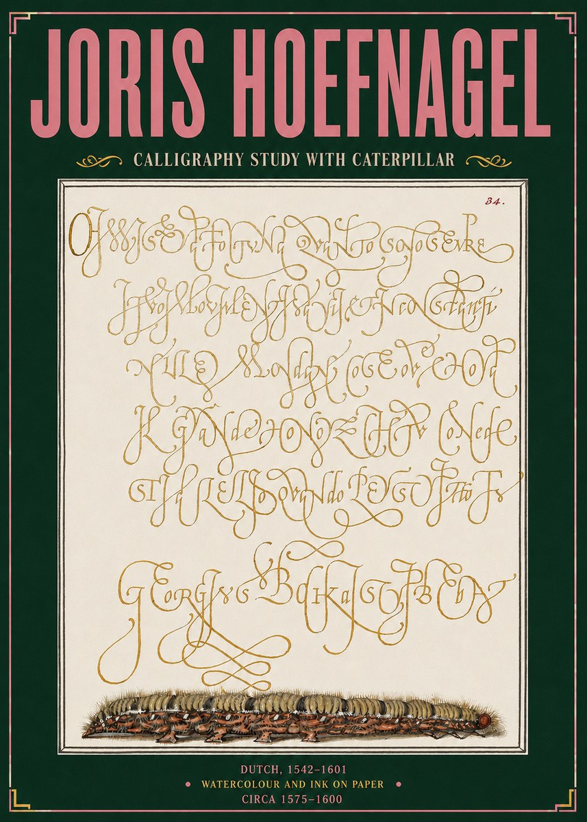 Joris Hoefnagel Calligraphy Study with Caterpillar No3 - Plakát