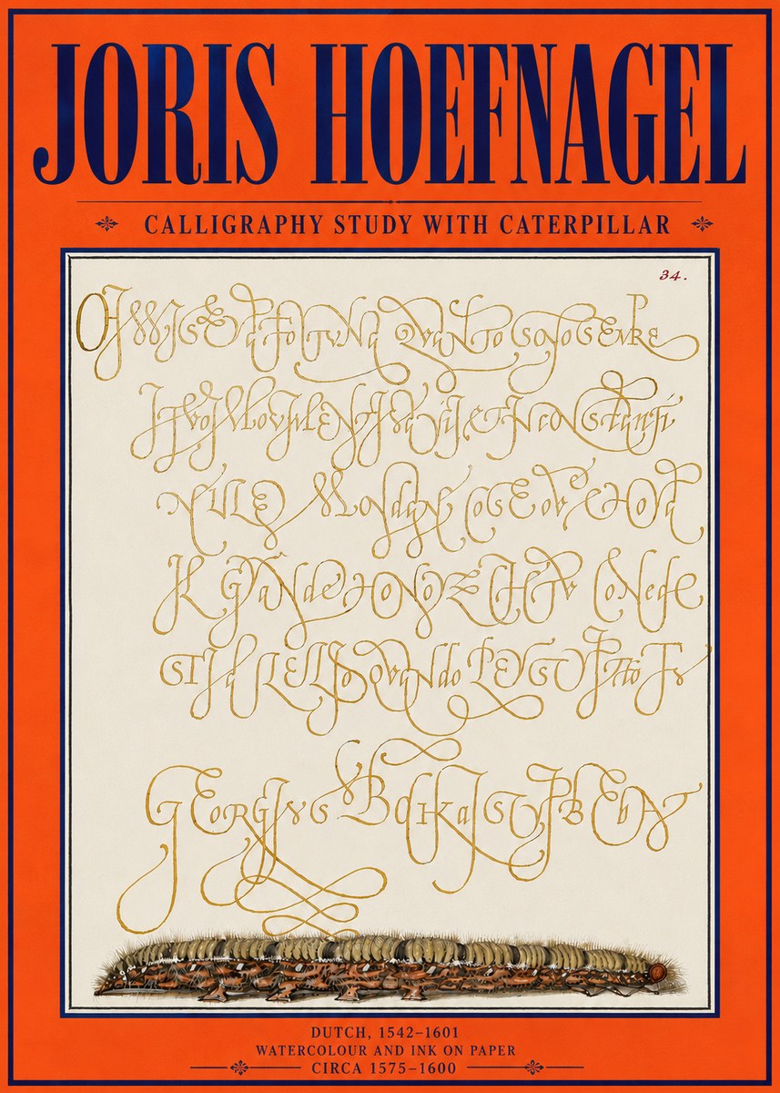 Joris Hoefnagel Calligraphy Study with Caterpillar No4 - Plakát