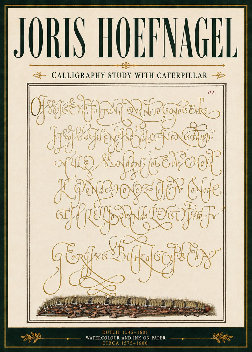 Joris Hoefnagel Calligraphy Study with Caterpillar No5 - Plakát