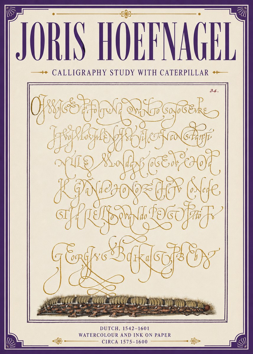 Joris Hoefnagel Calligraphy Study with Caterpillar No6 - Plakát