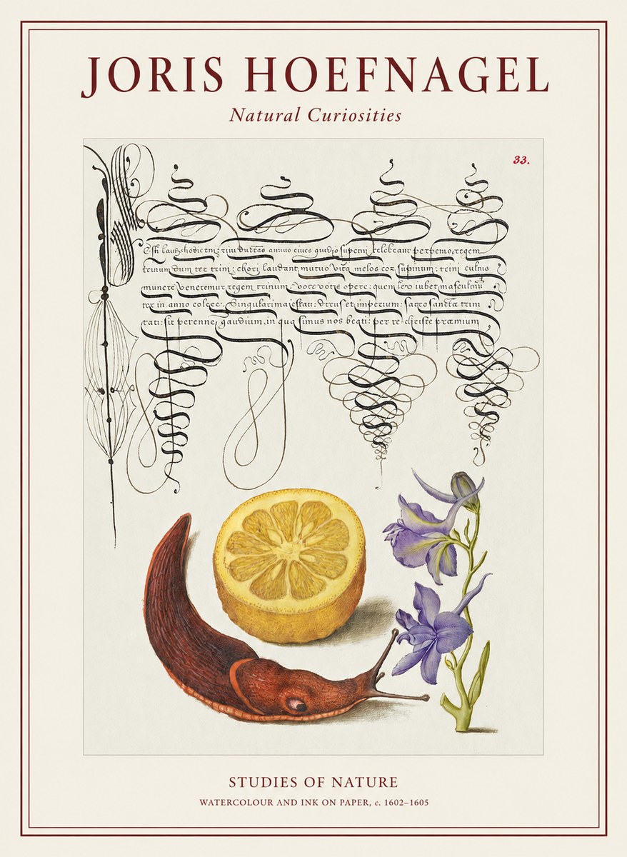 Joris Hoefnagel Studies of Nature No1 - Plakát