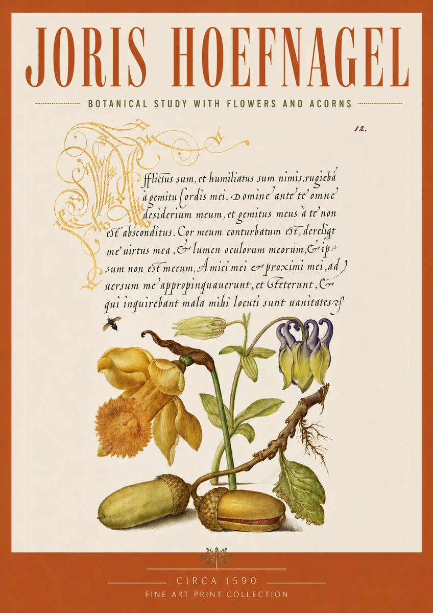 Joris Hoefnagel Illuminated Manuscript with Flowers and Acorns No5 - Plakát