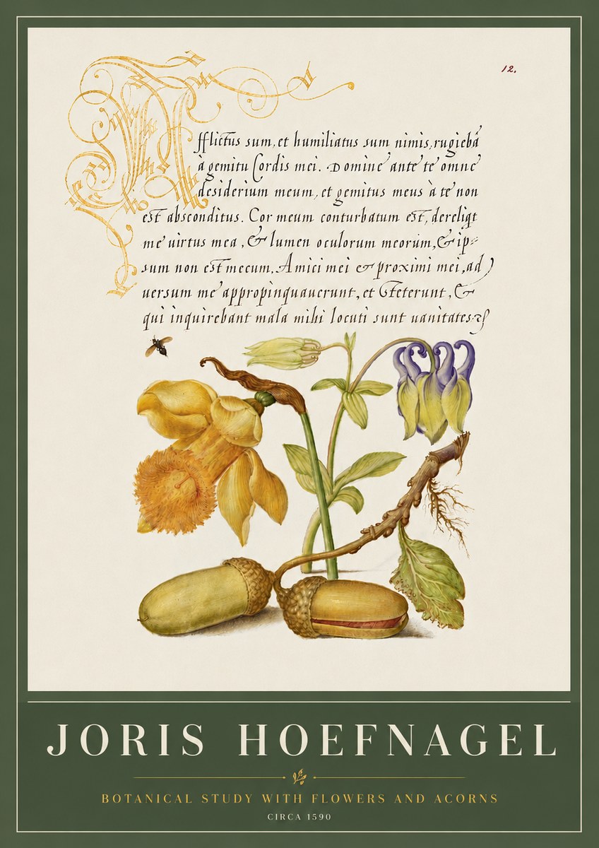 Joris Hoefnagel Illuminated Manuscript with Flowers and Acorns No6 - Plakát