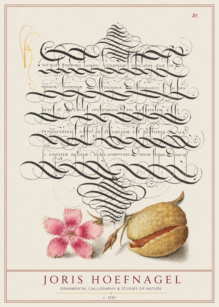 Joris Hoefnagel Ornamental Calligraphy & Studies of Nature No1 - Plakát