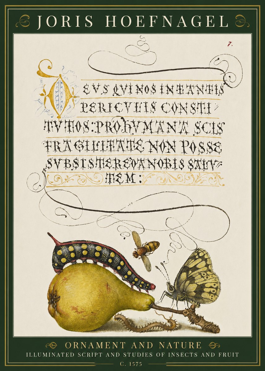 Joris Hoefnagel Ornament and Nature - Illuminated Script and Studies of Insects and Fruit No1 - Plakát