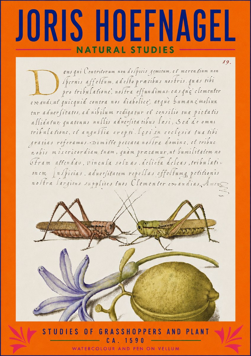 Joris Hoefnagel Studies of Grasshoppers and Plant No3 - Plakát