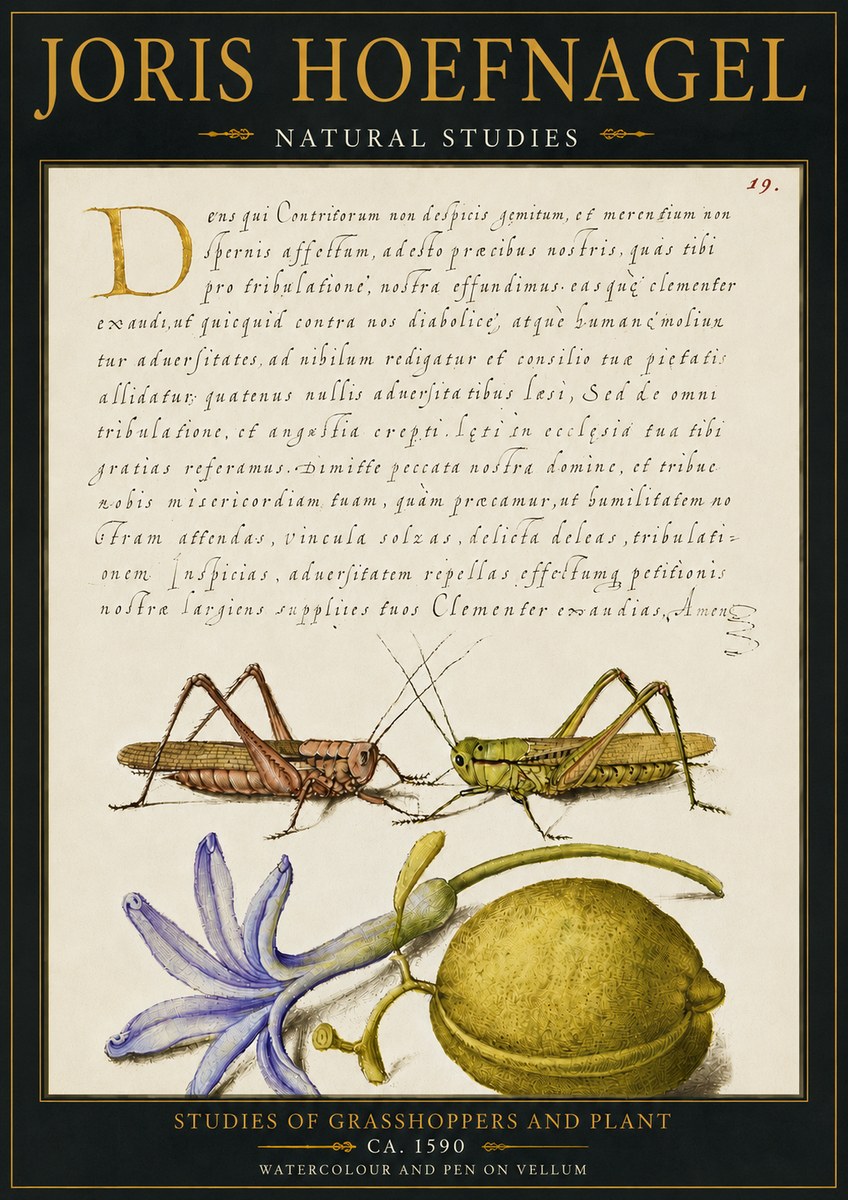 Joris Hoefnagel Studies of Grasshoppers and Plant No4 - Plakát
