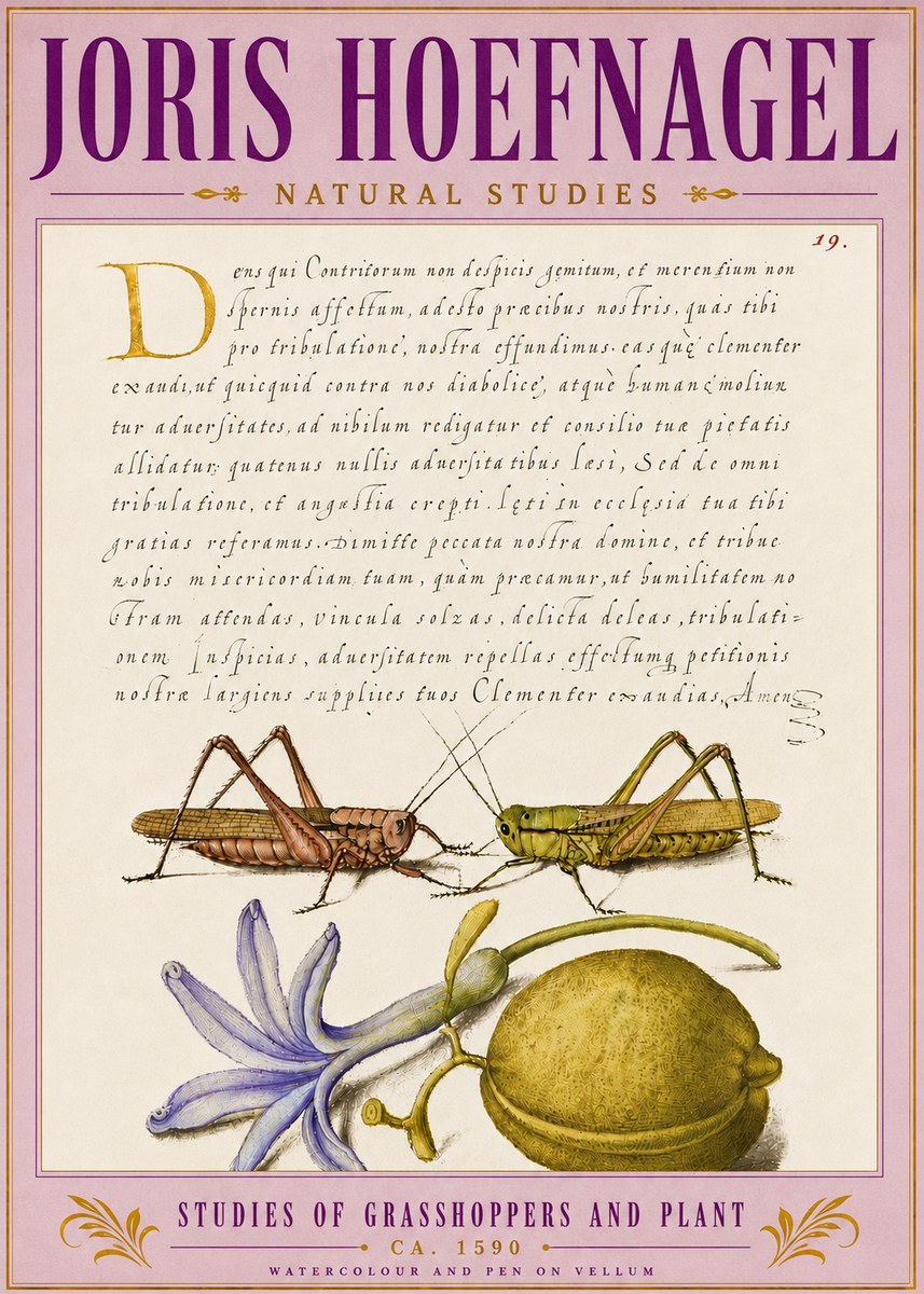 Joris Hoefnagel Studies of Grasshoppers and Plant No5 - Plakát