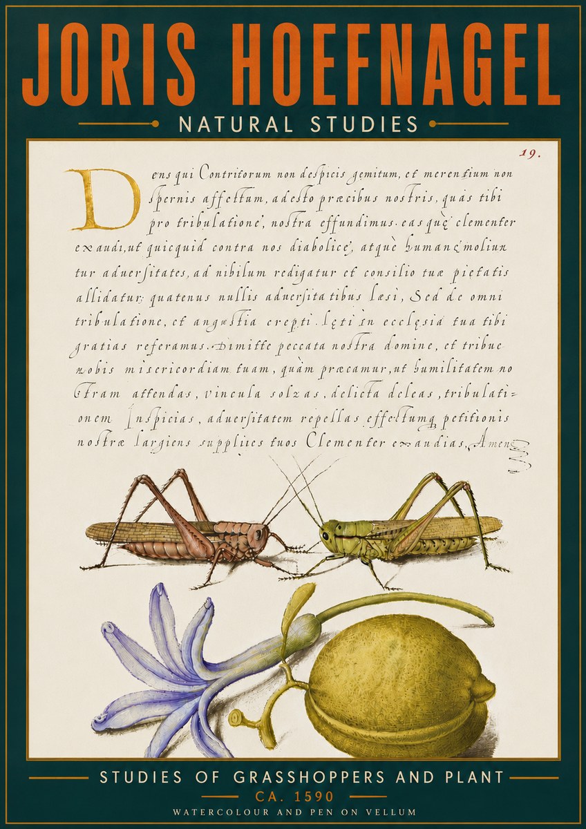 Joris Hoefnagel Studies of Grasshoppers and Plant No6 - Plakát