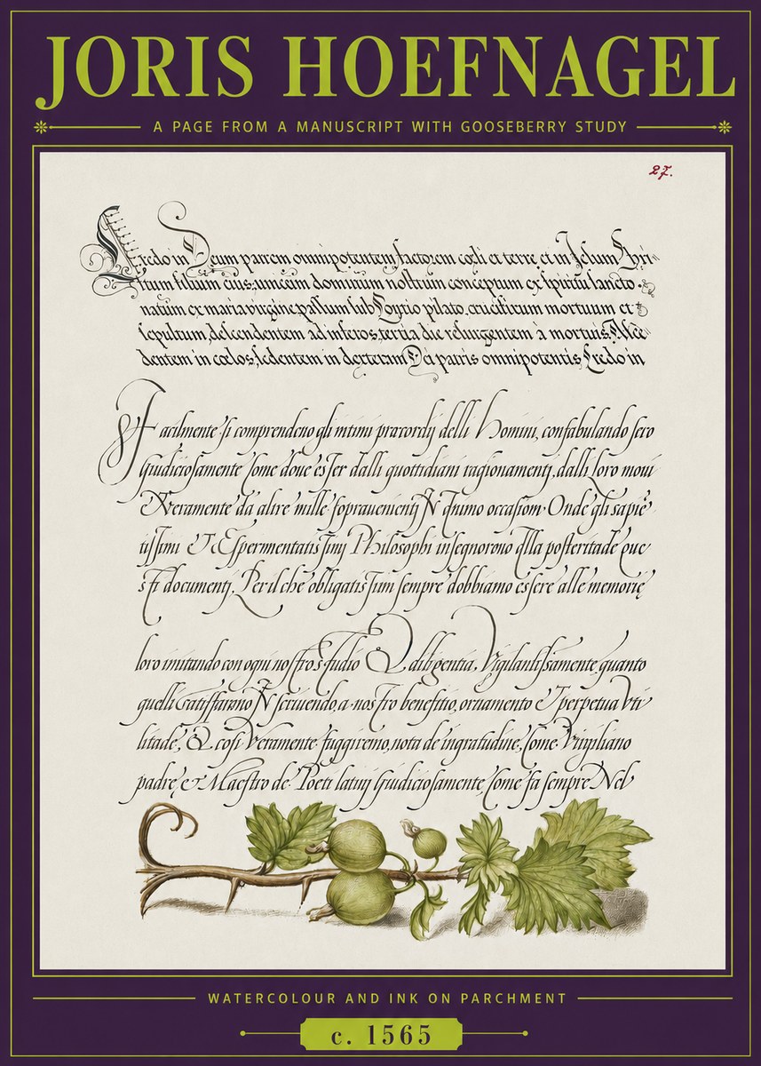 Joris Hoefnagel A Page from a Manuscript with Gooseberry Study No3 - Plakát