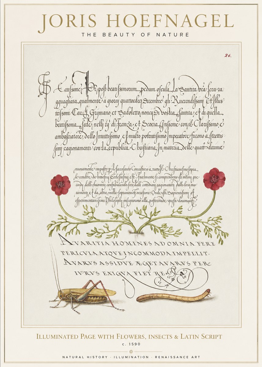 Joris Hoefnagel Illuminated Page with Flowers, Insects & Latin Script No1 - Plakát