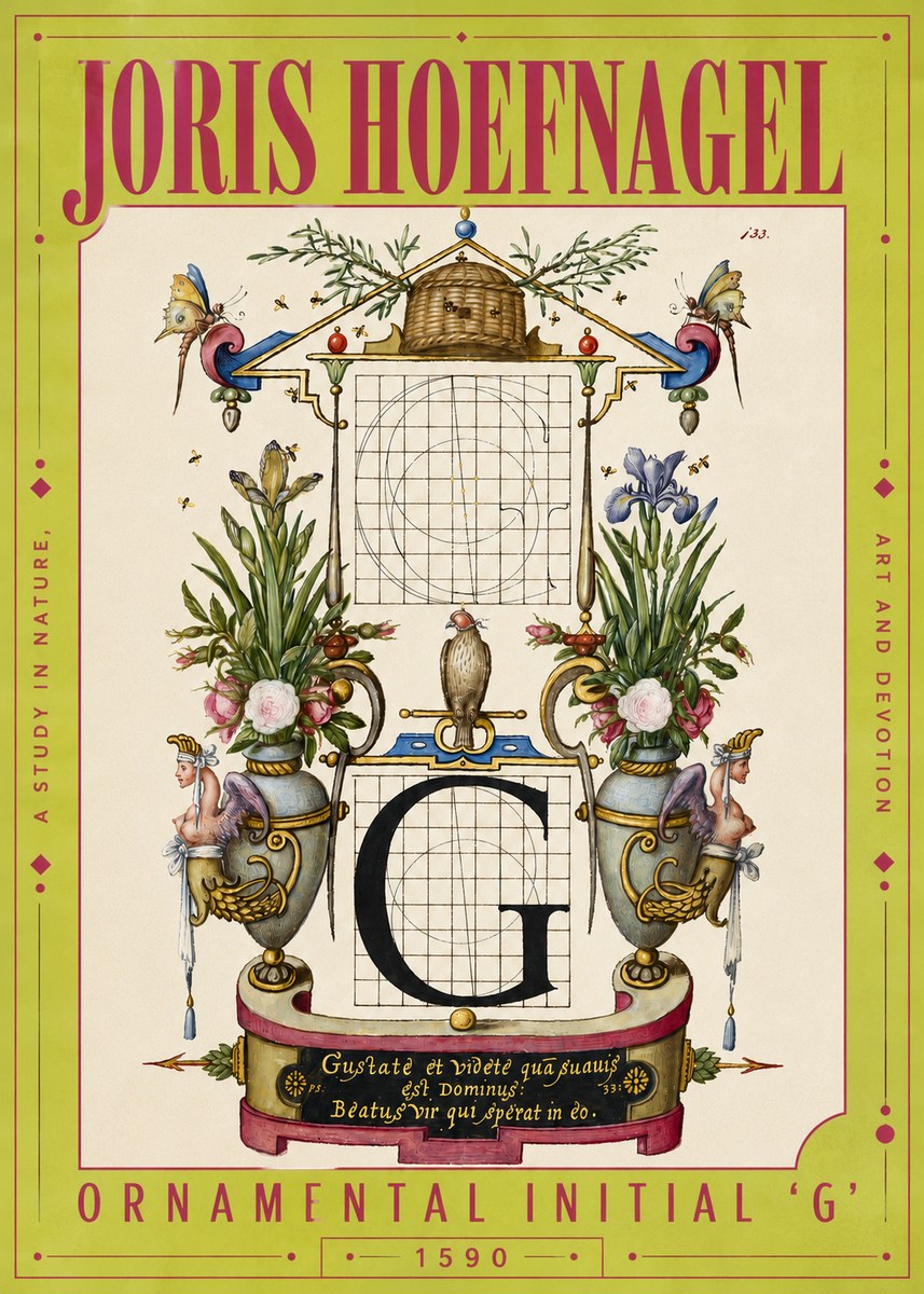 Joris Hoefnagel Ornamental Initial 'G' No4 - Plakát