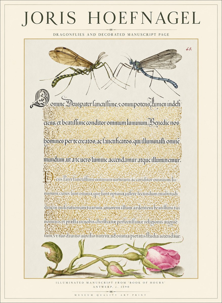 Joris Hoefnagel Dragonflies and Decorated Manuscript Page No1 - Plakát