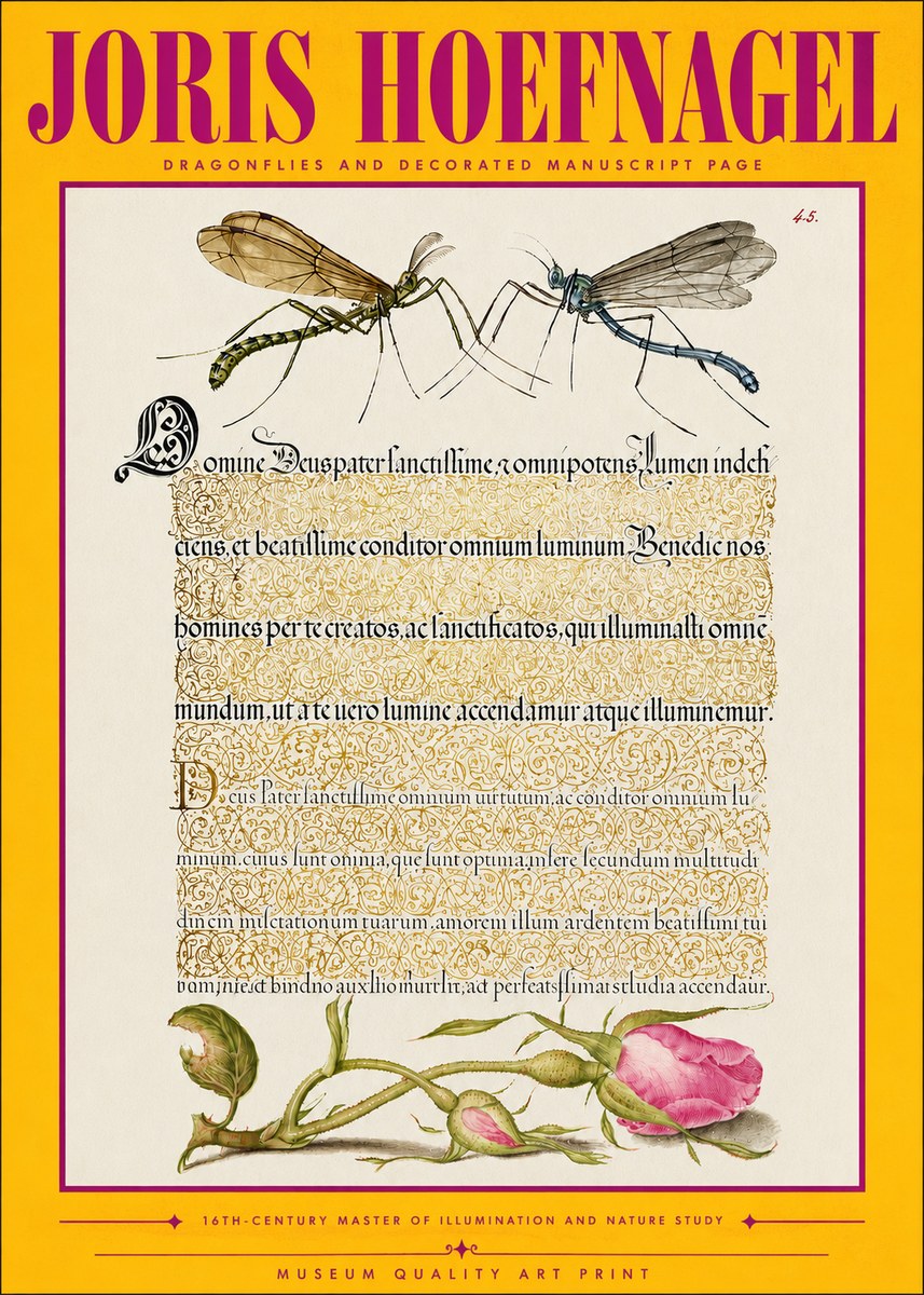 Joris Hoefnagel Dragonflies and Decorated Manuscript Page No4 - Plakát