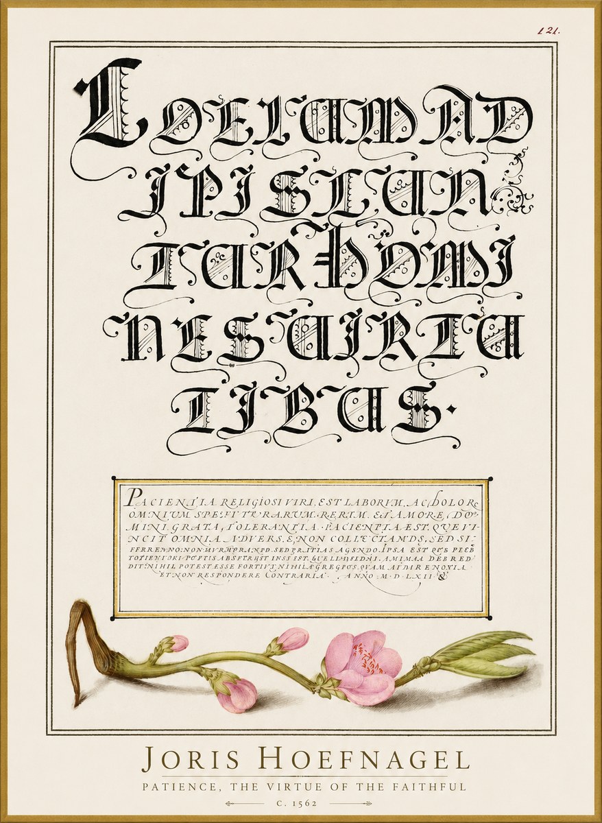 Joris Hoefnagel Calligraphic Alphabet from a Book of Lettering No3 - Plakát