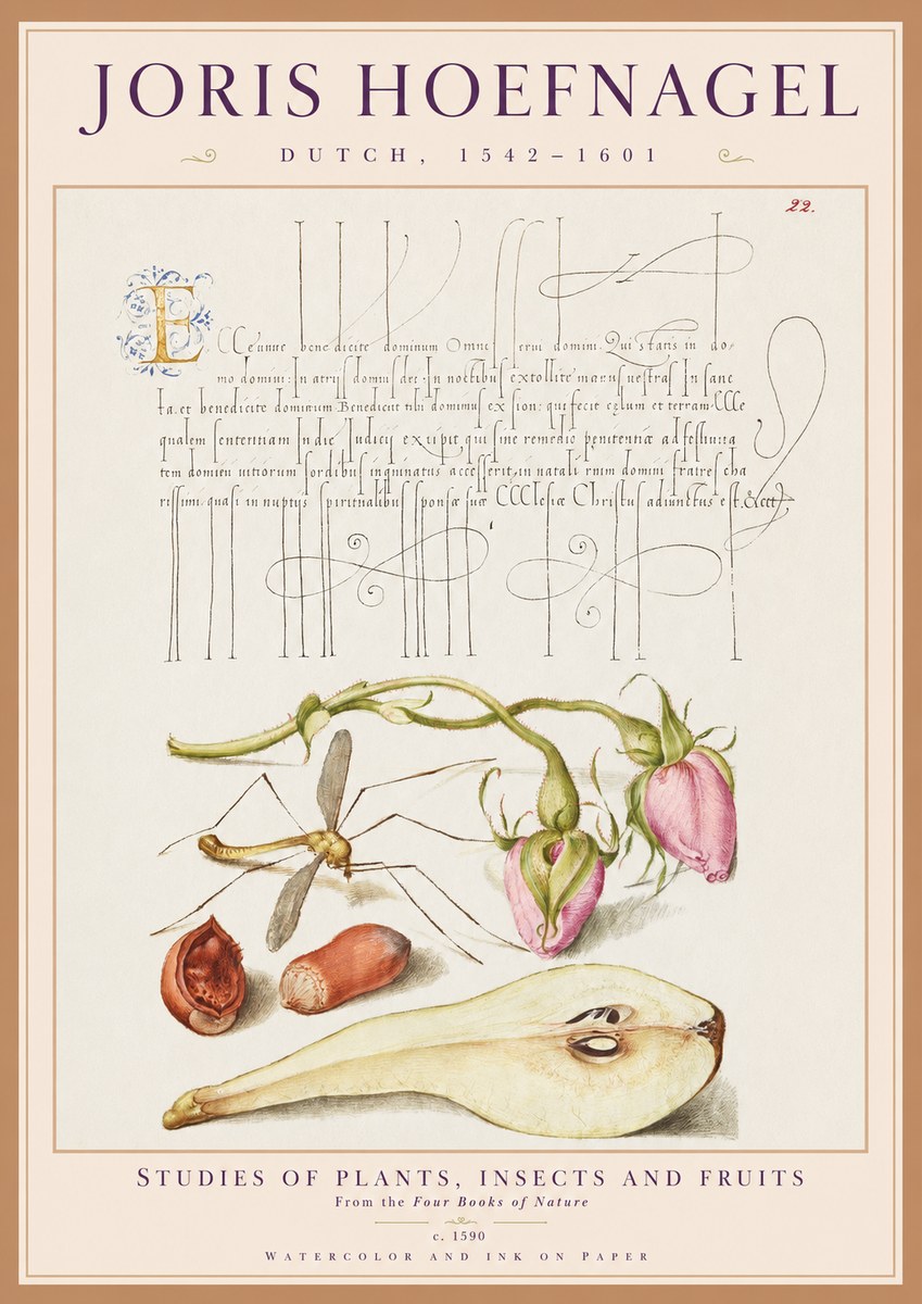 Joris Hoefnagel Studies of Plants, Insects and Fruits No1 - Plakát