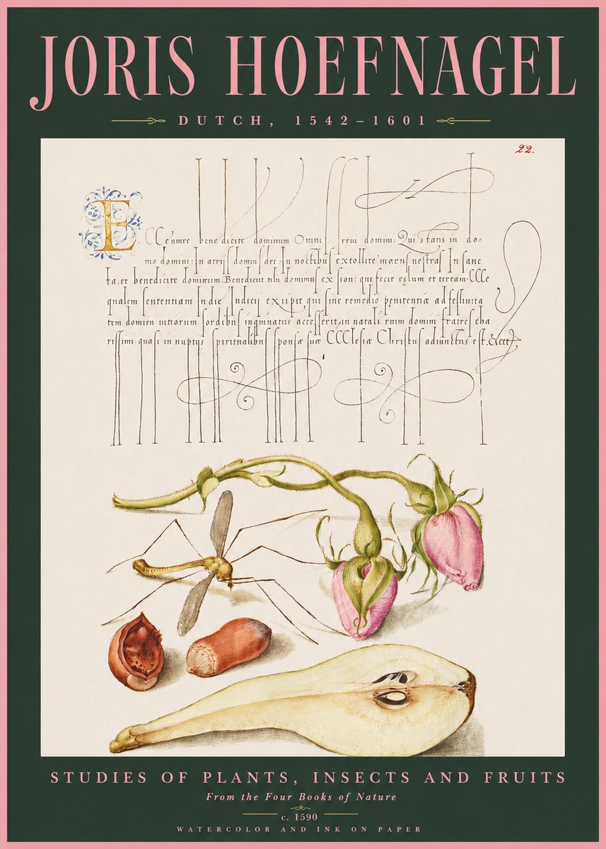 Joris Hoefnagel Studies of Plants, Insects and Fruits No2 - Plakát