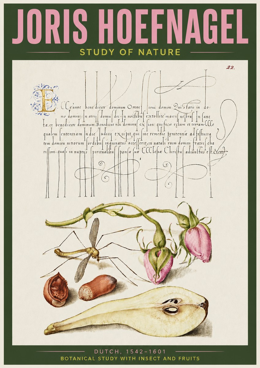 Joris Hoefnagel Studies of Plants, Insects and Fruits No4 - Plakát