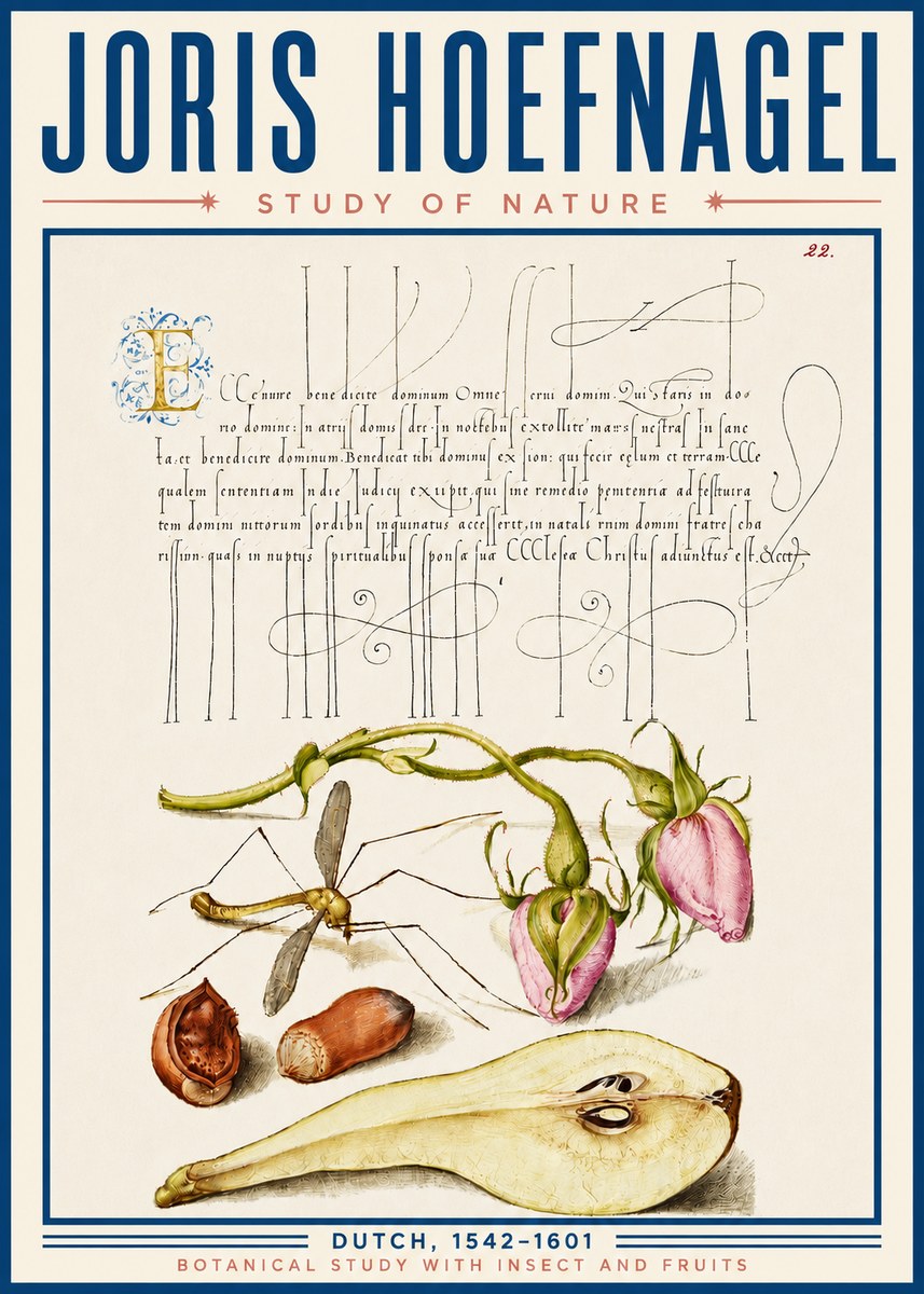 Joris Hoefnagel Studies of Plants, Insects and Fruits No6 - Plakát