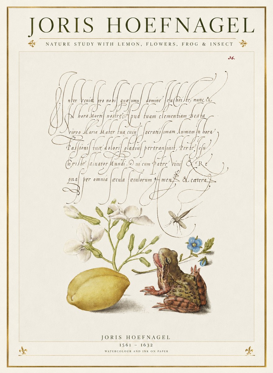 Joris Hoefnagel Nature Study with Lemon, Flowers, Frog & Insect No1 - Plakát